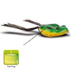uml ba - Jackson Live Frog (Tree Frog)